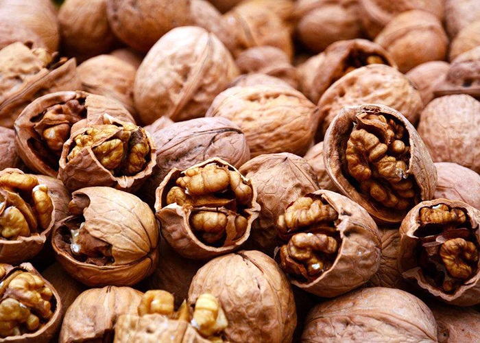 Walnut